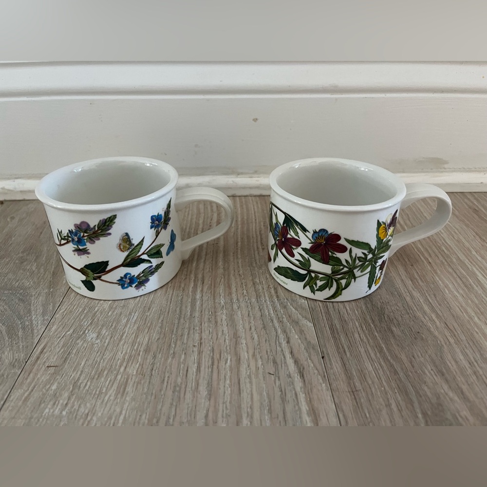 Portmeirion Pottery Botanic Garden Small Mugs Floral Pair